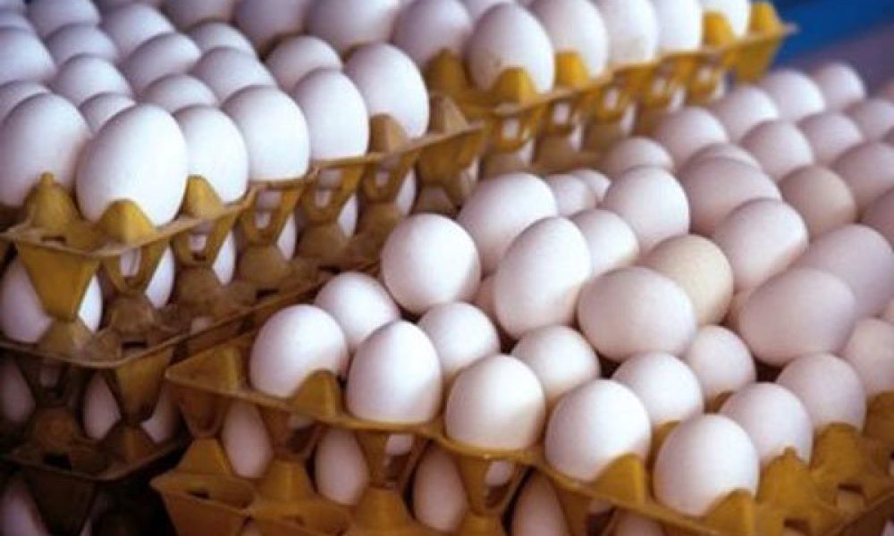 تأمین و توزیع ۱۵۷ تن تخم‌مرغ در استان سمنان