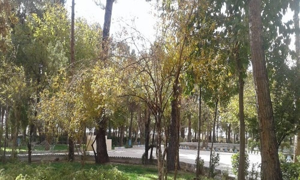 پارک اختصاصی بانوان در سمنان ایجاد می‌شود