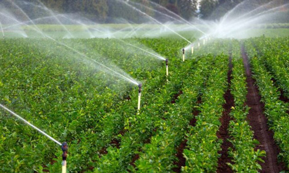۱۵ طرح فنی برای ارتقای بهره‌وری آب در سمنان