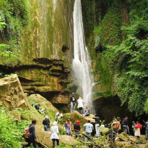 تور آبشار ترز- جنگل‌های لفور