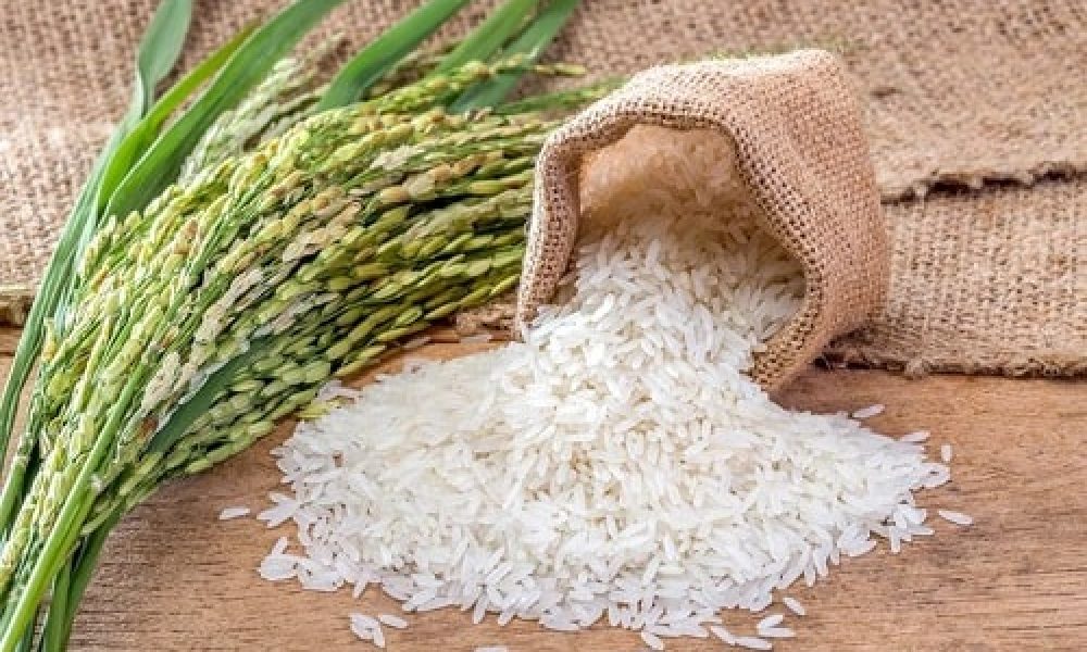 توزیع بیش از ۳۰۰ تن برنج در استان سمنان