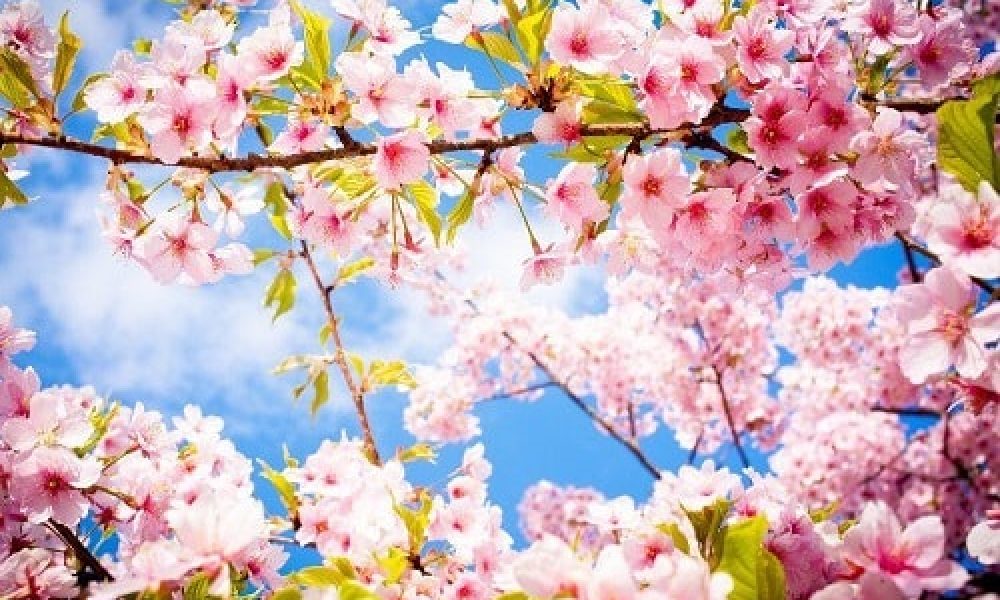 استقبال از بهار با آیین و سنت های کهن