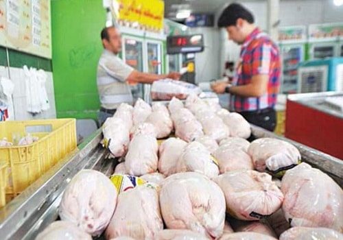 توزیع روزانه ۳۵ تن گوشت مرغ در استان سمنان