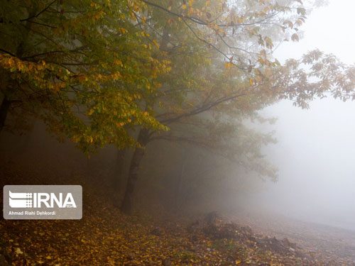 شرق و شمال استان سمنان درگیر برف و کولاک می‌شود