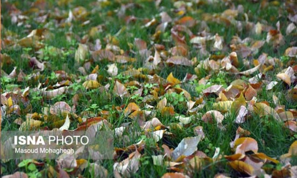 گزارش تصویری از مناظر زیبای پاییزی – سمنان