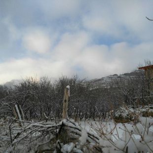 شهمیرزاد۵- زمستان ۹۵