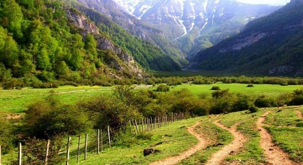 ۱۵ پایگاه امداد جنگل و مرتع در استان سمنان فعال هستند