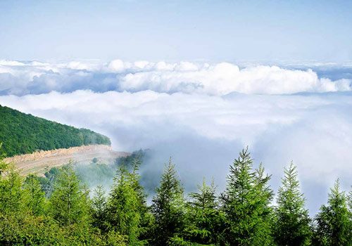 جنگل ابر شاهرود | بهشتی افسانه ای در قلب سمنان