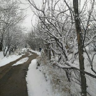 شهمیرزاد۷- زمستان ۹۵