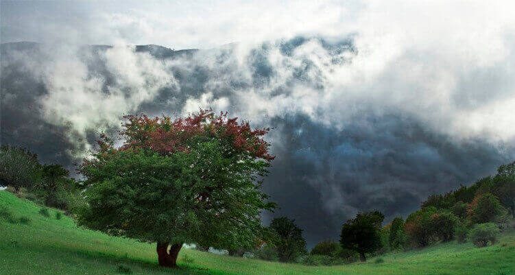 جنگل ابر سمنان -گزارش تصویری