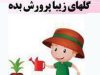 مهدکودک و پیش دبستانی  دردانه