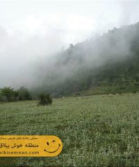 منطقه حفاظت شده خوش ییلاق