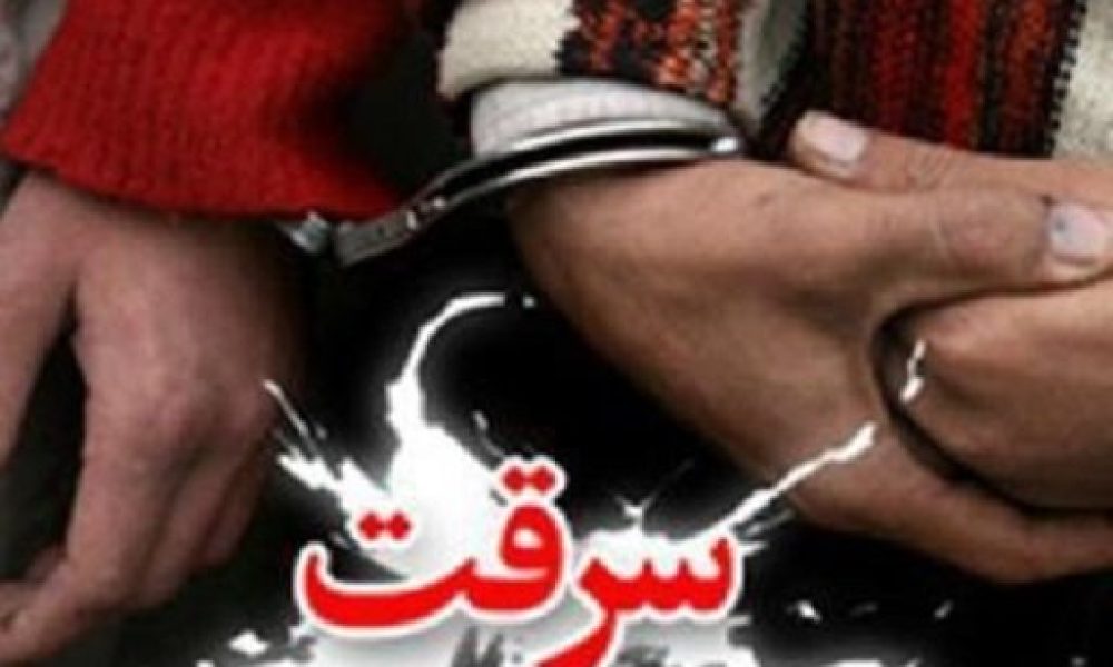 سارق شب‌های سمنان تبعه غیرمجاز از آب درآمد